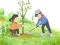 Igra Arbor Day Puzzle online