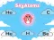 Igra SkyAtoms online