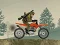 Igra Army Rider online