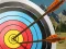 Igra Archery Training online
