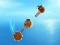 Igra Crazy Machines online