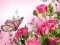 Igra Butterflies Puzzle online