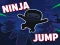 Igra Ninja jump online