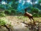 Igra  Hunter 3D online