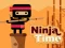 Igra Ninja Time online