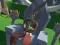 Igra Lazy Orcs: Arena online