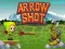 Igra Arrow Shoot online