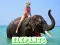 Igra Elephants Puzzle online