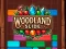 Igra Woodland Slide online