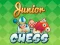 Igra Junior Chess online