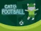 Igra Cat Football online