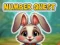 Igra Number Quest online