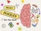 Igra Brain Puzzles Quests online