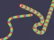 Igra Slither Classic online