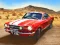 Igra Sung Race online