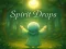 Igra Spirit Drops online
