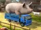 Igra Driver Master Simulator online