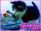Igra Six Little Kittens online