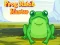 Igra Frog Match Master online