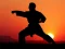 Igra Karate Sunset Warriors online