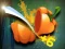 Igra Veggie Slicer online