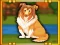 Igra Bernese Mountain Dog Escape online