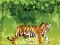 Igra Angry Tiger Coloring online