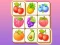 Igra Zoo Tile online