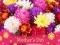 Igra 2019 Mother's Day Puzzle online