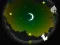 Igra Alpaca Run online