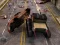 Igra Zombie Squad online