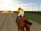 Igra Horse Rider online