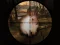 Igra Classical Rabbit Sniper Hunting 2019 online