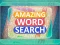 Igra Amazing Word Search online