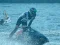 Igra Power Boat Racing 3D online