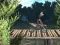 Igra Bike Trial Xtreme Forest online