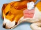 Igra Dog Hospital online