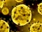 Igra Coronavirus Slide online