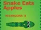 Igra Snake Eats Apples online