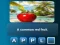 Igra Puzzle Phrase online
