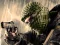 Igra Terrorist Shootout online