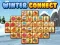Igra Winter connect online