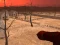 Igra Wasteland Shooters online