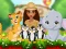Igra Moana Cute Zoo online
