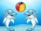 Igra Dolphin Show online