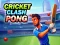 Igra Cricket Clash Pong online
