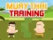 Igra Muay Thai Training online