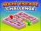 Igra Maze Escape Challenge online