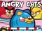 Igra Angry Cats online