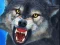 Igra Wolf Hunter online